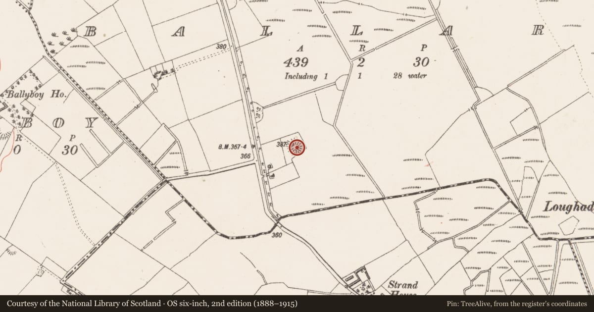 Ordnance Survey six-inch map, 2nd edition (1888–1915) covering the location of Ringfort - rath, Ballard, County Westmeath, with a pin at the register's coordinates