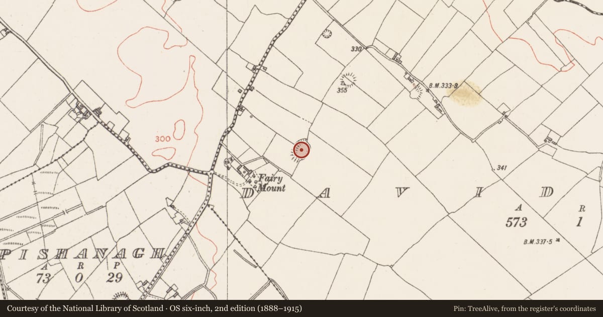 Ordnance Survey six-inch map, 2nd edition (1888–1915) covering the location of Ringfort - rath, Davidstown, County Westmeath, with a pin at the register's coordinates