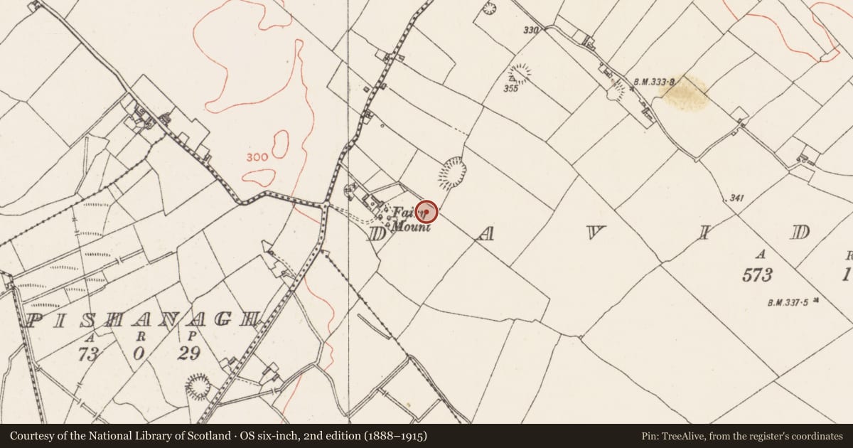 Ordnance Survey six-inch map, 2nd edition (1888–1915) covering the location of Ringfort - rath, Davidstown, County Westmeath, with a pin at the register's coordinates