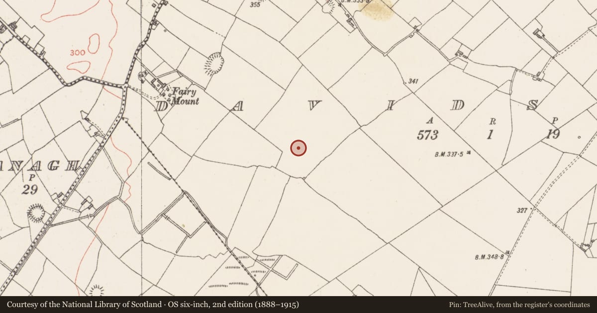 Ordnance Survey six-inch map, 2nd edition (1888–1915) covering the location of Mound, Davidstown, County Westmeath, with a pin at the register's coordinates
