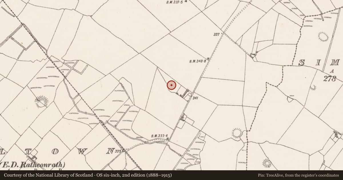 Ordnance Survey six-inch map, 2nd edition (1888–1915) covering the location of Ringfort - rath, Davidstown, County Westmeath, with a pin at the register's coordinates