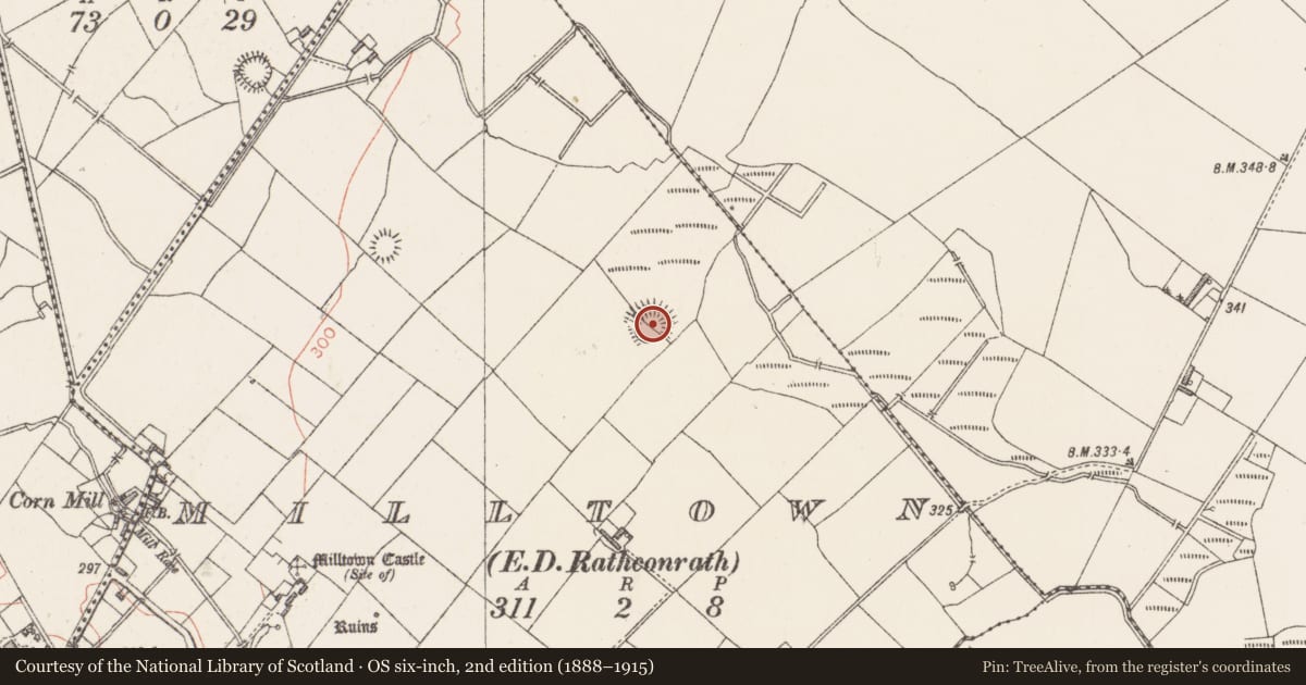 Ordnance Survey six-inch map, 2nd edition (1888–1915) covering the location of Ringfort - rath, Milltown, County Westmeath, with a pin at the register's coordinates