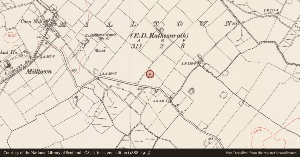 Ordnance Survey six-inch map, 2nd edition (1888–1915) covering the location of Ringfort - rath, Milltown, County Westmeath, with a pin at the register's coordinates