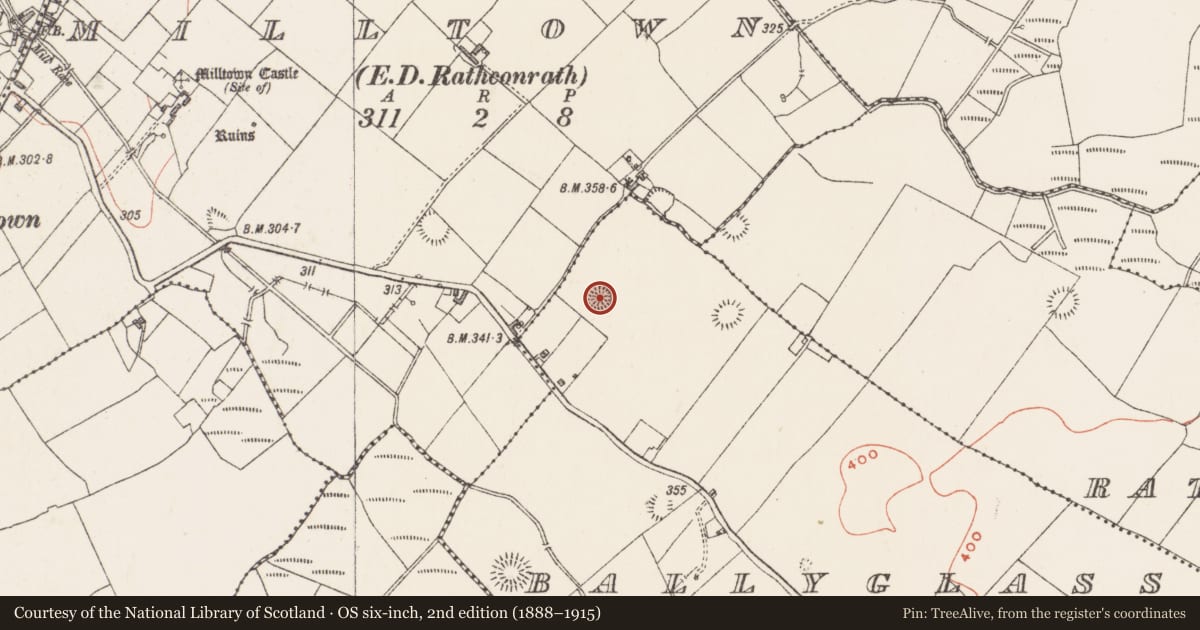 Ordnance Survey six-inch map, 2nd edition (1888–1915) covering the location of Hut site, Ballyglass, County Westmeath, with a pin at the register's coordinates