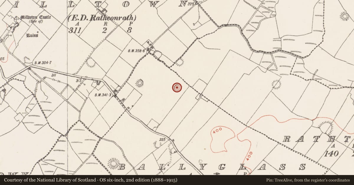 Ordnance Survey six-inch map, 2nd edition (1888–1915) covering the location of Ringfort - rath, Ballyglass, County Westmeath, with a pin at the register's coordinates