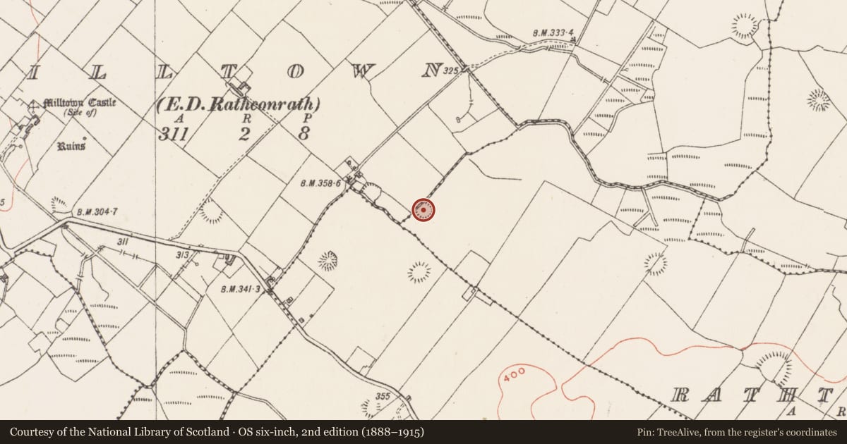 Ordnance Survey six-inch map, 2nd edition (1888–1915) covering the location of Hut site, Rathtrim, County Westmeath, with a pin at the register's coordinates