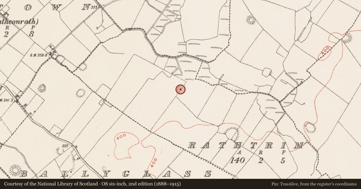 Ordnance Survey six-inch map, 2nd edition (1888–1915) covering the location of Ringfort - rath, Rathtrim, County Westmeath, with a pin at the register's coordinates