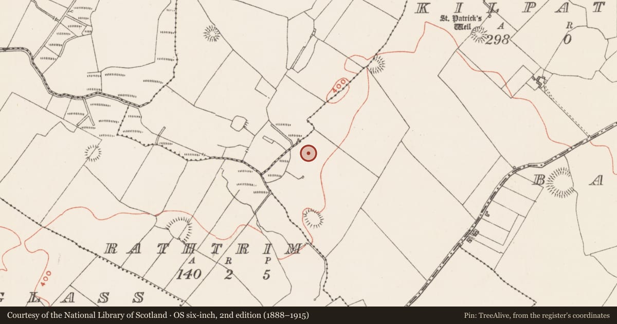 Ordnance Survey six-inch map, 2nd edition (1888–1915) covering the location of Ringfort - rath, Kilpatrick, County Westmeath, with a pin at the register's coordinates