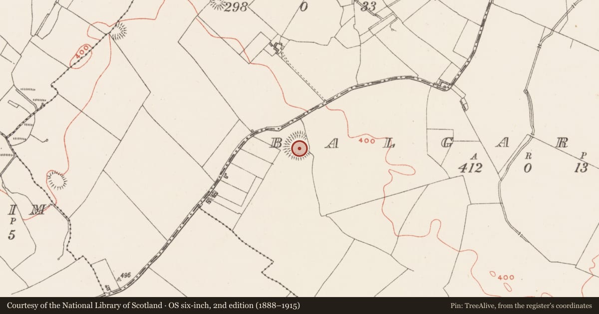 Ordnance Survey six-inch map, 2nd edition (1888–1915) covering the location of Ringfort - rath, Balgarrett, County Westmeath, with a pin at the register's coordinates