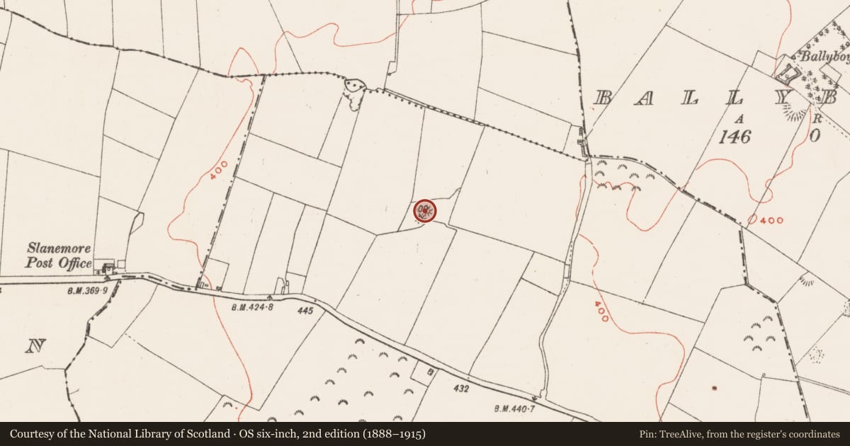 Ordnance Survey six-inch map, 2nd edition (1888–1915) covering the location of Barrow - stepped barrow, Slane More, County Westmeath, with a pin at the register's coordinates