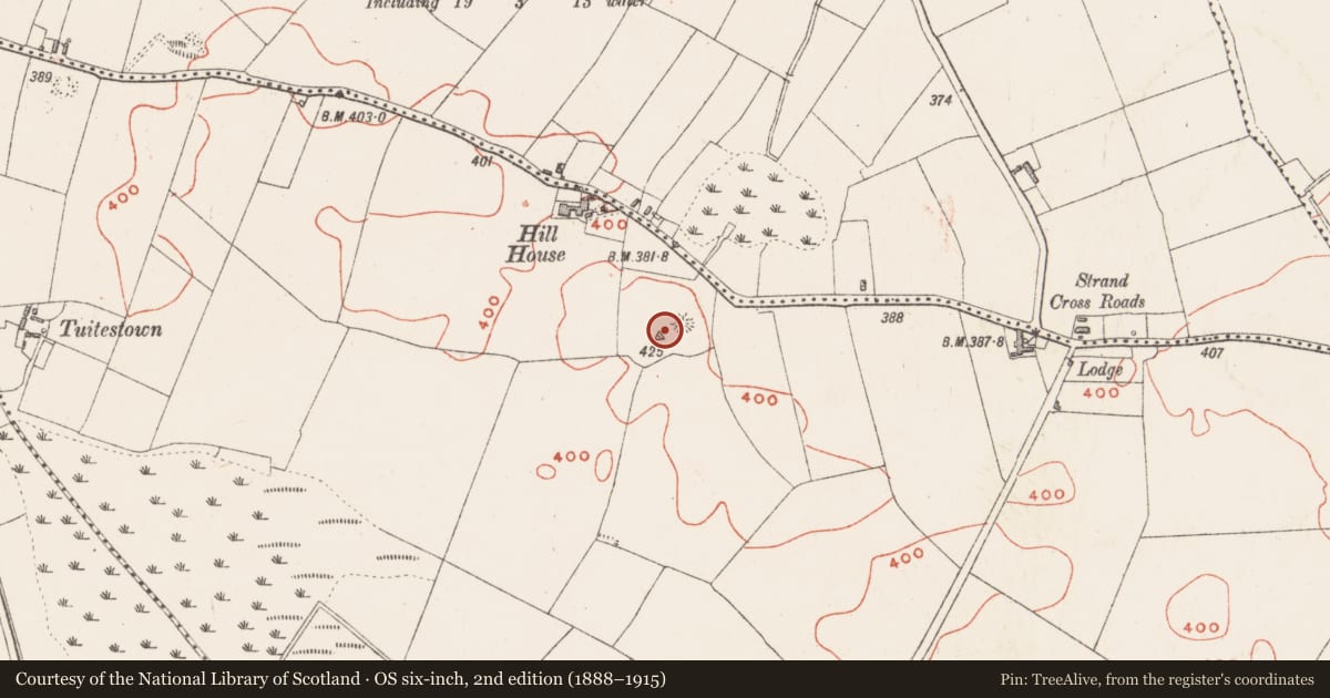 Ordnance Survey six-inch map, 2nd edition (1888–1915) covering the location of Enclosure, Walshestown South, County Westmeath, with a pin at the register's coordinates