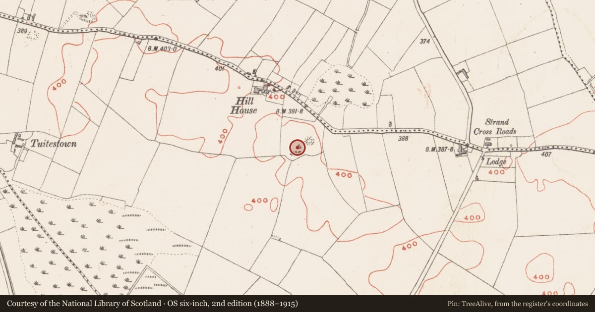Ordnance Survey six-inch map, 2nd edition (1888–1915) covering the location of Barrow - mound barrow, Walshestown South, County Westmeath, with a pin at the register's coordinates