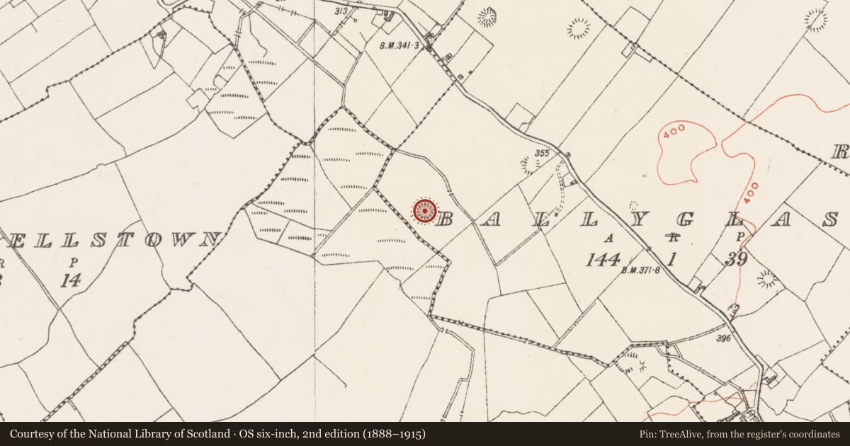 Ordnance Survey six-inch map, 2nd edition (1888–1915) covering the location of Ringfort - rath, Ballyglass, County Westmeath, with a pin at the register's coordinates