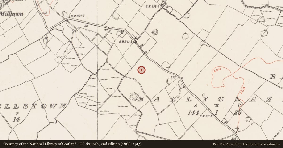 Ordnance Survey six-inch map, 2nd edition (1888–1915) covering the location of Enclosure, Ballyglass, County Westmeath, with a pin at the register's coordinates