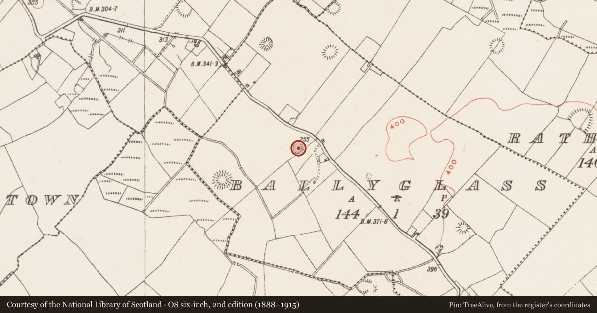 Ordnance Survey six-inch map, 2nd edition (1888–1915) covering the location of Ringfort - rath, Ballyglass, County Westmeath, with a pin at the register's coordinates