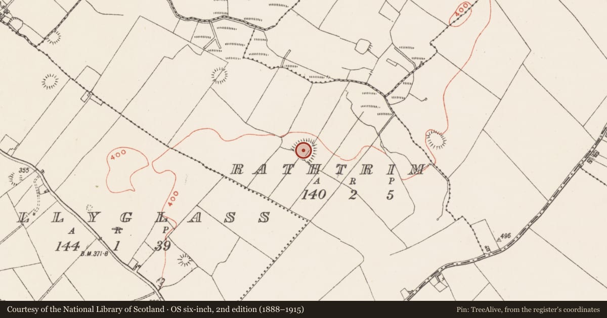 Ordnance Survey six-inch map, 2nd edition (1888–1915) covering the location of Ringfort - rath, Rathtrim, County Westmeath, with a pin at the register's coordinates