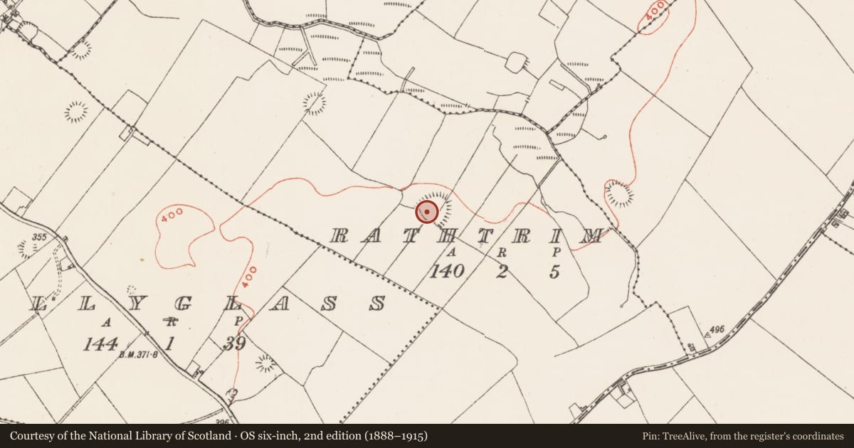 Ordnance Survey six-inch map, 2nd edition (1888–1915) covering the location of Souterrain, Rathtrim, County Westmeath, with a pin at the register's coordinates