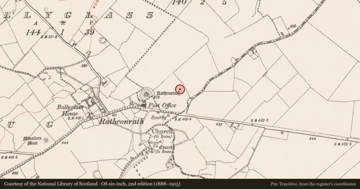 Ordnance Survey six-inch map, 2nd edition (1888–1915) covering the location of Castle - unclassified, Rathtrim, County Westmeath, with a pin at the register's coordinates