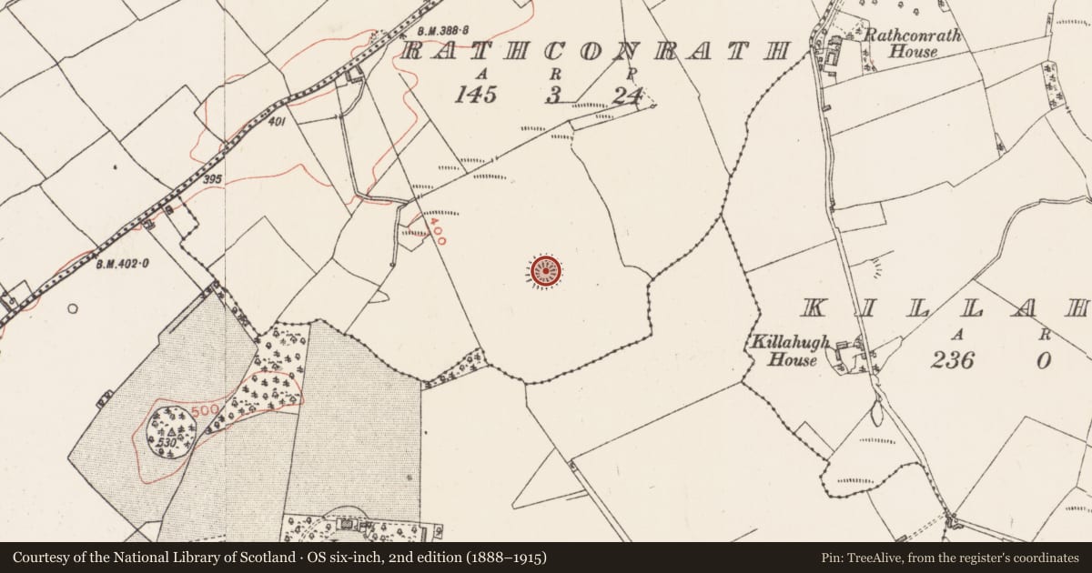 Ordnance Survey six-inch map, 2nd edition (1888–1915) covering the location of Ringfort - rath, Rathconrath, County Westmeath, with a pin at the register's coordinates