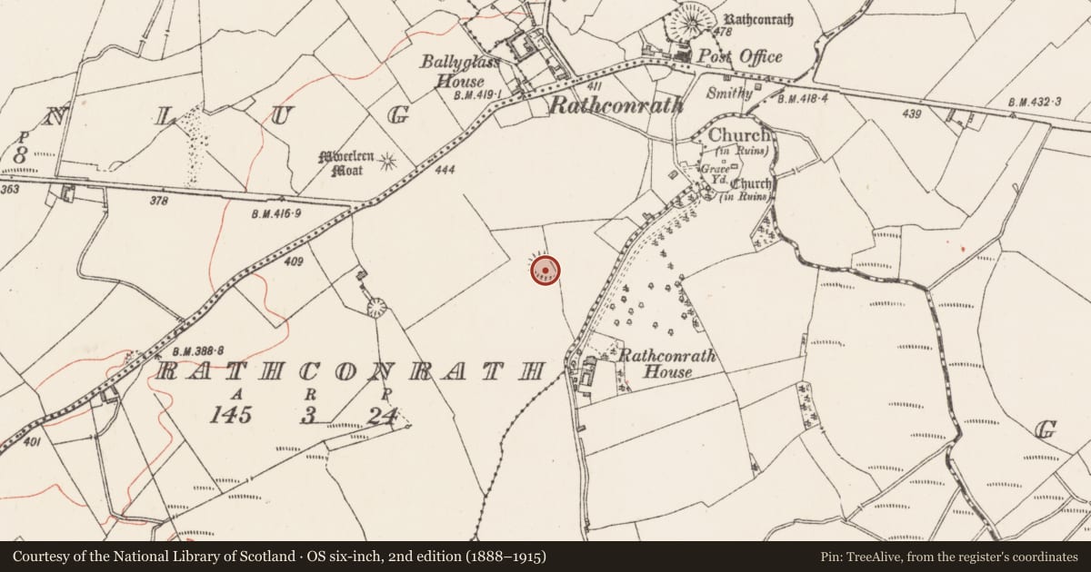 Ordnance Survey six-inch map, 2nd edition (1888–1915) covering the location of Ringfort - rath, Rathconrath, County Westmeath, with a pin at the register's coordinates