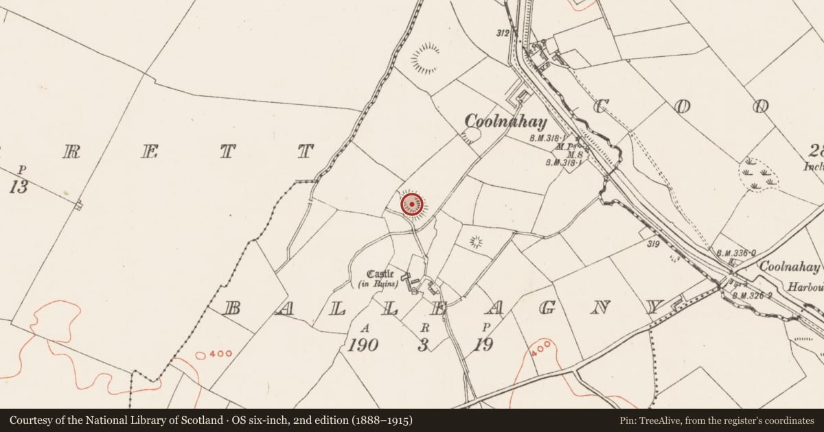 Ordnance Survey six-inch map, 2nd edition (1888–1915) covering the location of Ringfort - rath, Balleagny, County Westmeath, with a pin at the register's coordinates