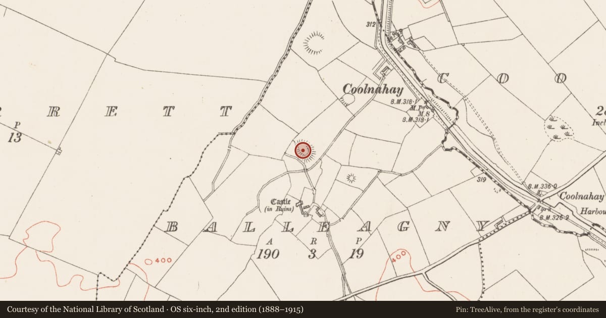 Ordnance Survey six-inch map, 2nd edition (1888–1915) covering the location of House - indeterminate date, Balleagny, County Westmeath, with a pin at the register's coordinates