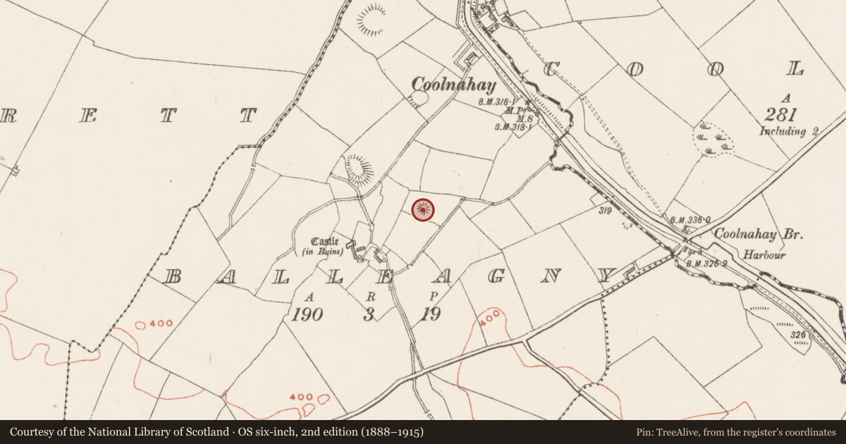 Ordnance Survey six-inch map, 2nd edition (1888–1915) covering the location of House - indeterminate date, Balleagny, County Westmeath, with a pin at the register's coordinates