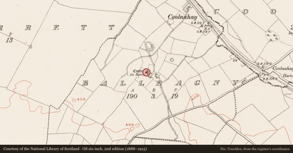 Ordnance Survey six-inch map, 2nd edition (1888–1915) covering the location of House - fortified house, Balleagny, County Westmeath, with a pin at the register's coordinates