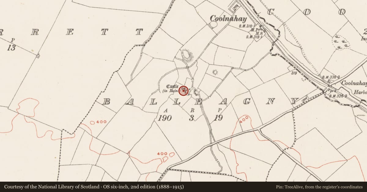 Ordnance Survey six-inch map, 2nd edition (1888–1915) covering the location of Bawn, Balleagny, County Westmeath, with a pin at the register's coordinates