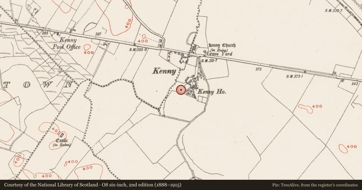 Ordnance Survey six-inch map, 2nd edition (1888–1915) covering the location of Castle - ringwork, Tuitestown, County Westmeath, with a pin at the register's coordinates