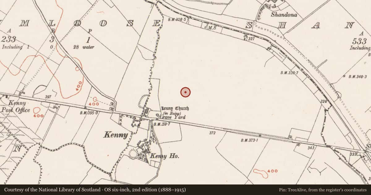 Ordnance Survey six-inch map, 2nd edition (1888–1915) covering the location of Standing stone, Tuitestown, County Westmeath, with a pin at the register's coordinates
