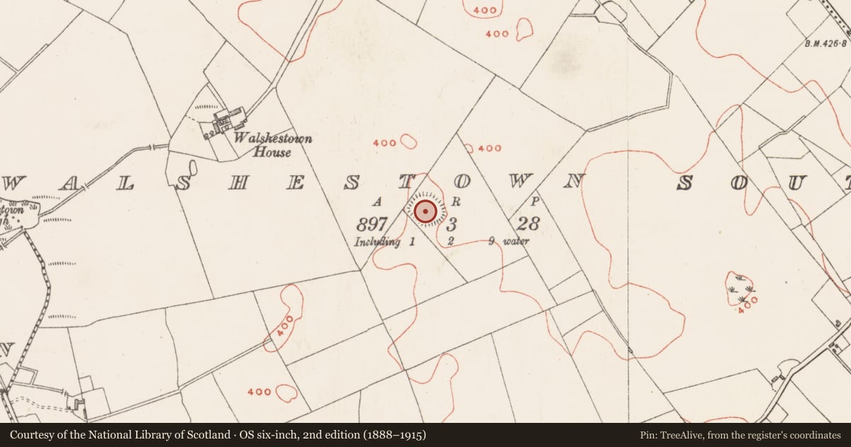 Ordnance Survey six-inch map, 2nd edition (1888–1915) covering the location of Ringfort - rath, Walshestown South, County Westmeath, with a pin at the register's coordinates