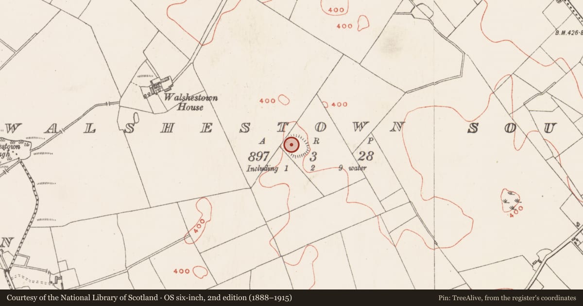 Ordnance Survey six-inch map, 2nd edition (1888–1915) covering the location of House - indeterminate date, Walshestown South, County Westmeath, with a pin at the register's coordinates