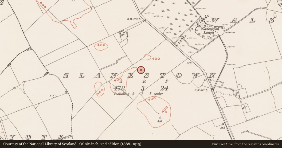 Ordnance Survey six-inch map, 2nd edition (1888–1915) covering the location of Settlement deserted - medieval, Slanestown, County Westmeath, with a pin at the register's coordinates
