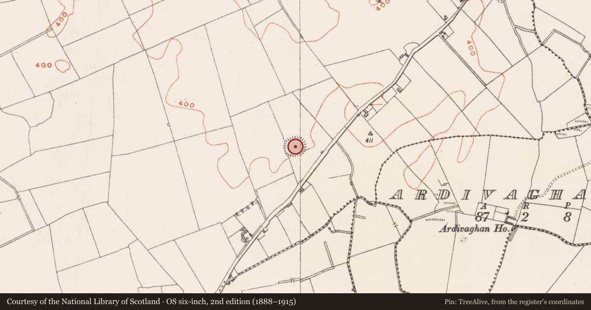 Ordnance Survey six-inch map, 2nd edition (1888–1915) covering the location of Ringfort - rath, Walshestown South, County Westmeath, with a pin at the register's coordinates