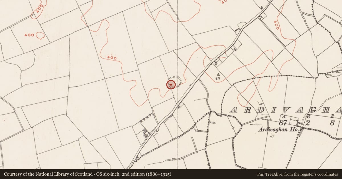 Ordnance Survey six-inch map, 2nd edition (1888–1915) covering the location of Hut site, Walshestown South, County Westmeath, with a pin at the register's coordinates