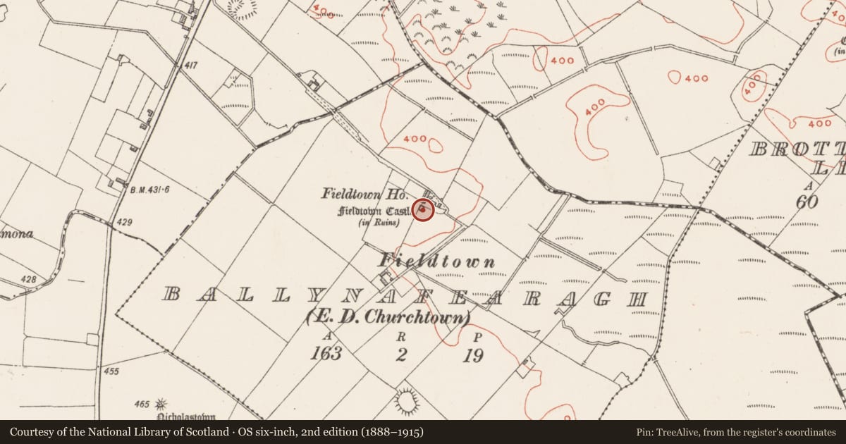 Ordnance Survey six-inch map, 2nd edition (1888–1915) covering the location of Castle - unclassified, Ballynafearagh, County Westmeath, with a pin at the register's coordinates