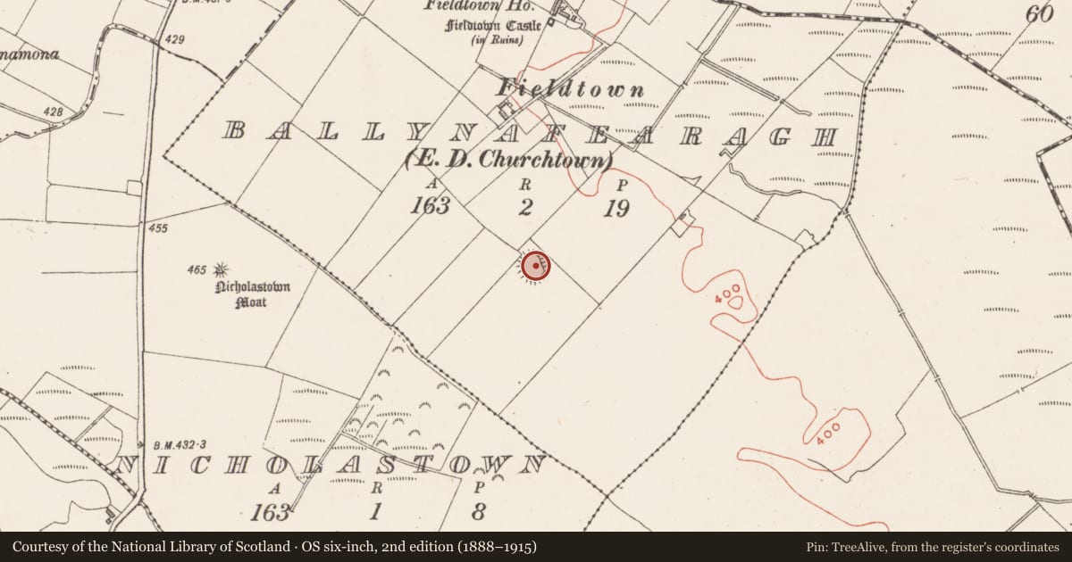 Ordnance Survey six-inch map, 2nd edition (1888–1915) covering the location of Ringfort - rath, Ballynafearagh, County Westmeath, with a pin at the register's coordinates