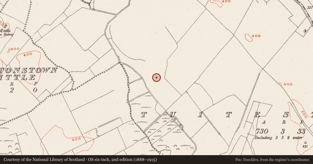 Ordnance Survey six-inch map, 2nd edition (1888–1915) covering the location of Enclosure - large enclosure, Tuitestown, County Westmeath, with a pin at the register's coordinates