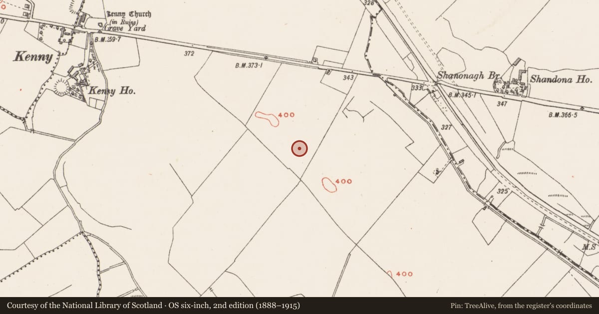 Ordnance Survey six-inch map, 2nd edition (1888–1915) covering the location of Standing stone, Tuitestown, County Westmeath, with a pin at the register's coordinates