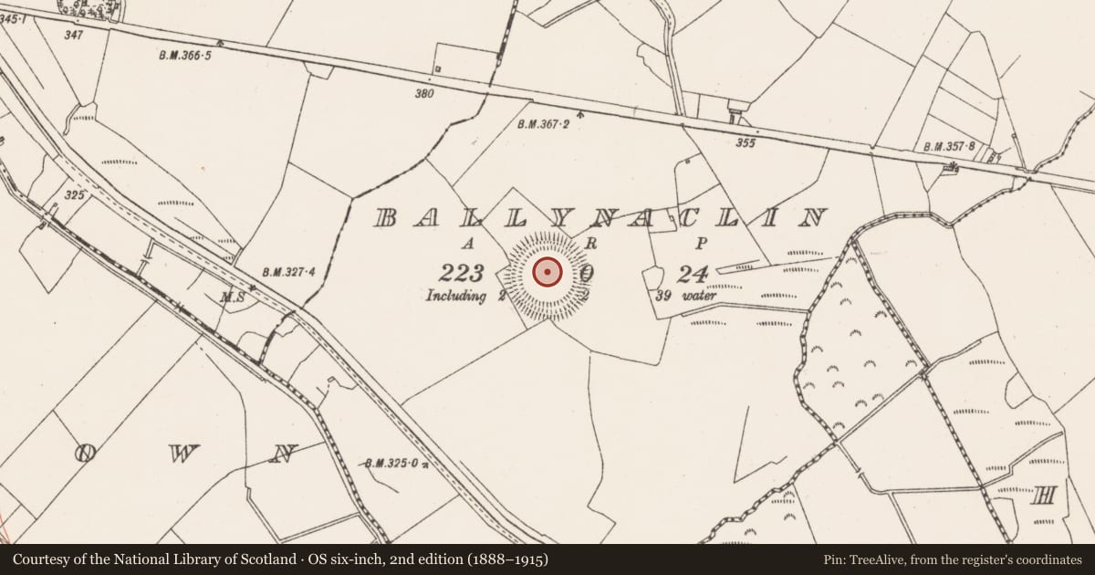Ordnance Survey six-inch map, 2nd edition (1888–1915) covering the location of Henge, Ballynaclin, County Westmeath, with a pin at the register's coordinates