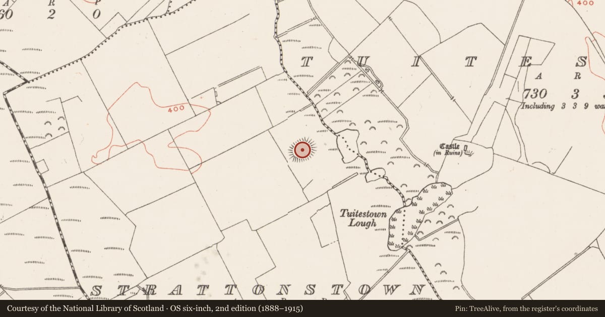 Ordnance Survey six-inch map, 2nd edition (1888–1915) covering the location of Earthwork, Strattonstown, County Westmeath, with a pin at the register's coordinates