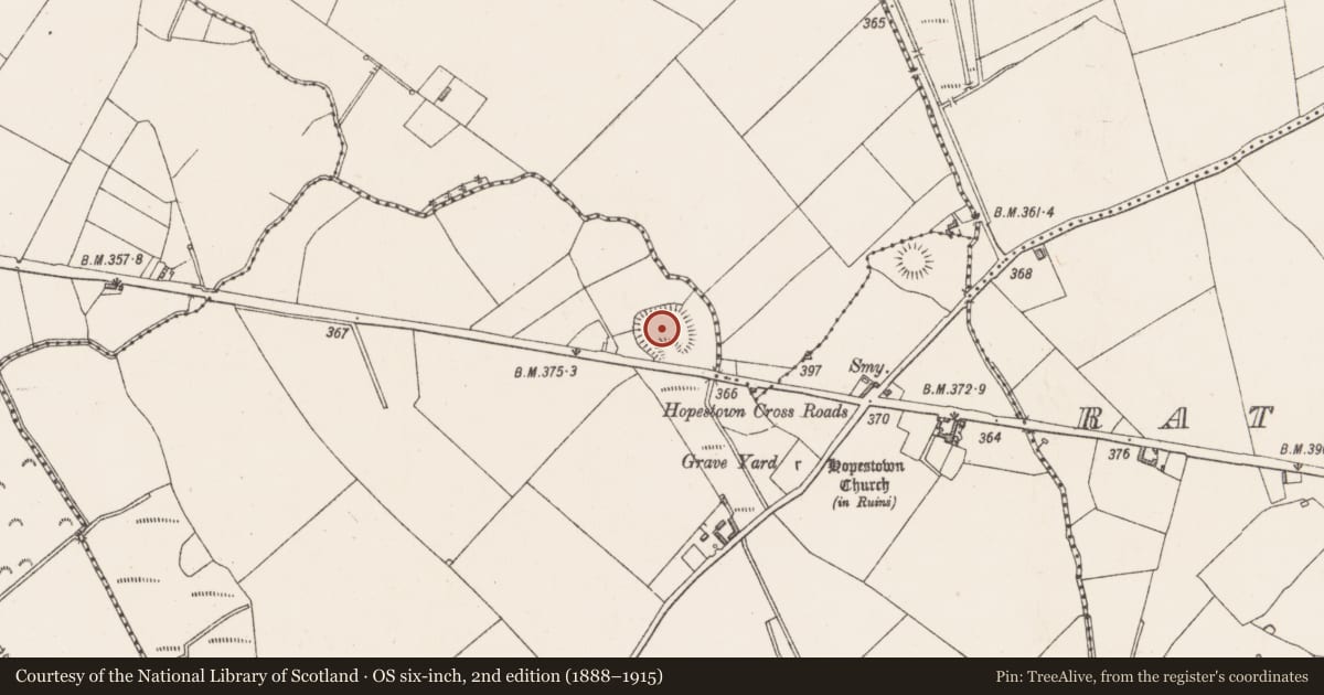 Ordnance Survey six-inch map, 2nd edition (1888–1915) covering the location of Ringfort - rath, Hopestown, County Westmeath, with a pin at the register's coordinates
