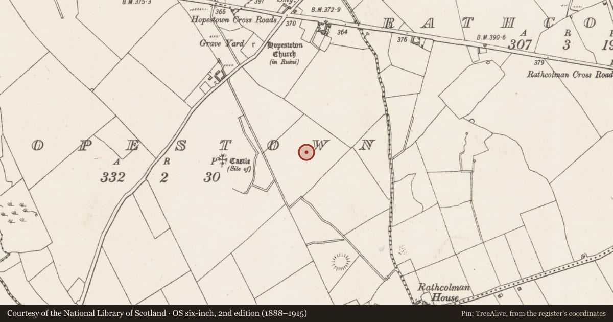 Ordnance Survey six-inch map, 2nd edition (1888–1915) covering the location of Earthwork, Hopestown, County Westmeath, with a pin at the register's coordinates