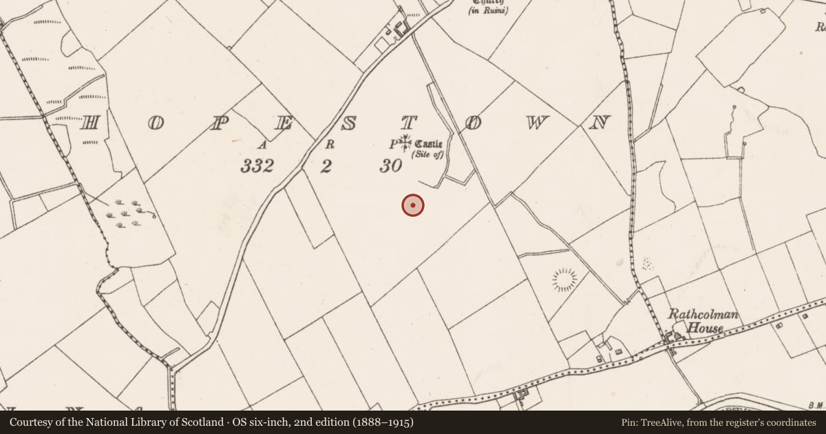 Ordnance Survey six-inch map, 2nd edition (1888–1915) covering the location of Barrow - unclassified, Hopestown, County Westmeath, with a pin at the register's coordinates
