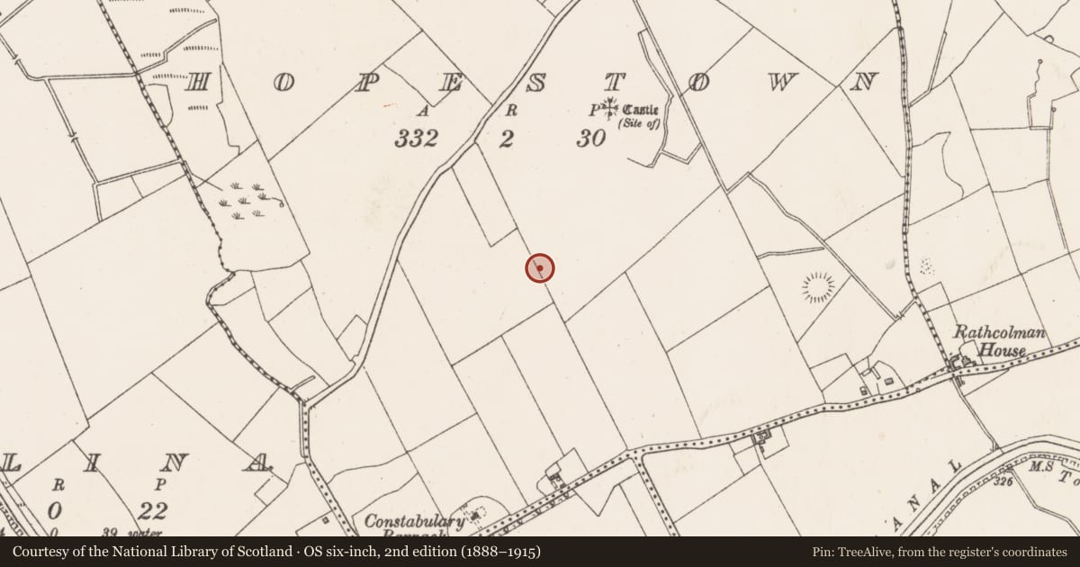 Ordnance Survey six-inch map, 2nd edition (1888–1915) covering the location of Earthwork, Hopestown, County Westmeath, with a pin at the register's coordinates