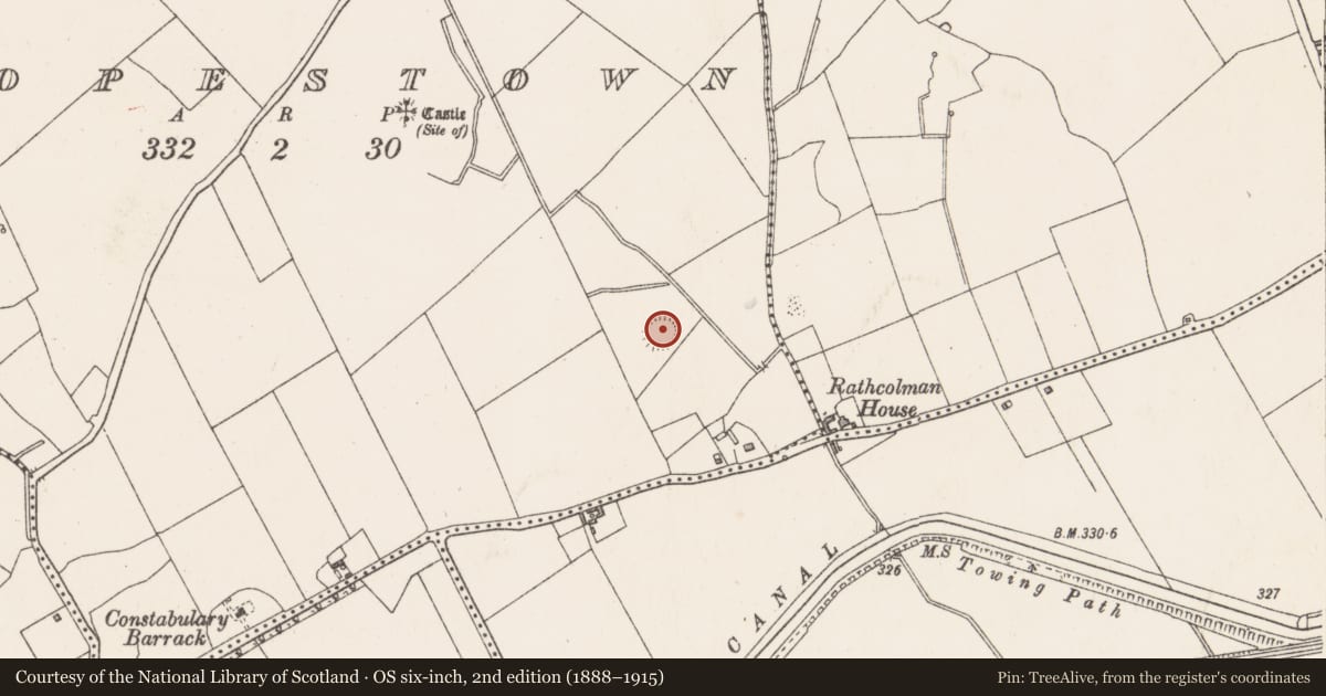 Ordnance Survey six-inch map, 2nd edition (1888–1915) covering the location of Ringfort - rath, Hopestown, County Westmeath, with a pin at the register's coordinates