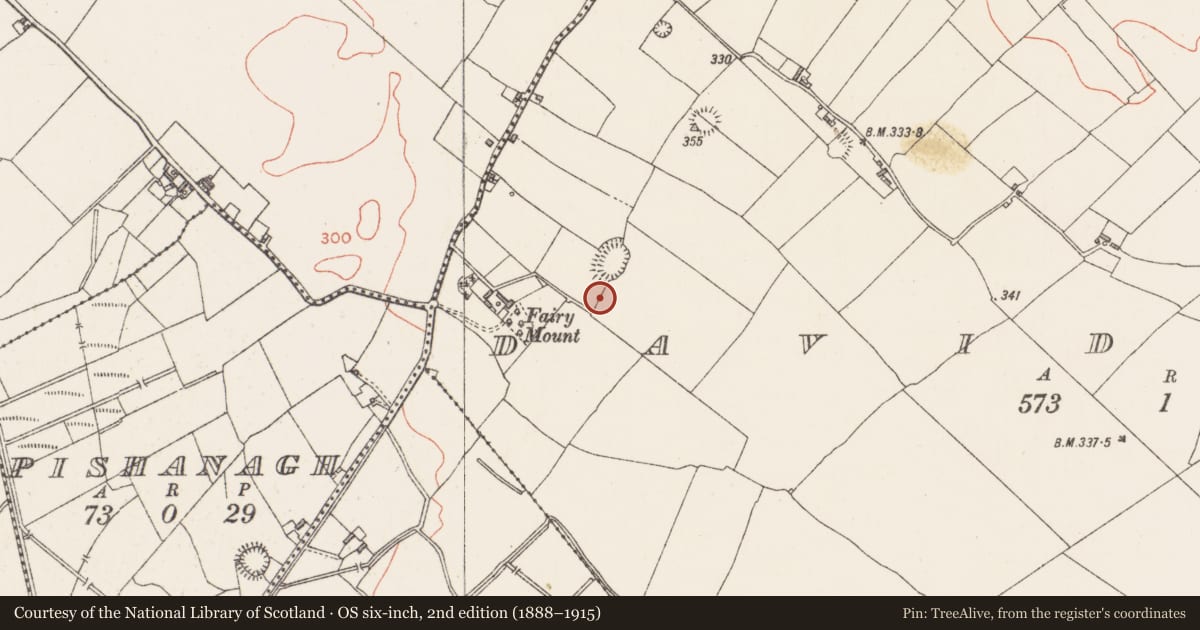 Ordnance Survey six-inch map, 2nd edition (1888–1915) covering the location of Burial, Davidstown, County Westmeath, with a pin at the register's coordinates