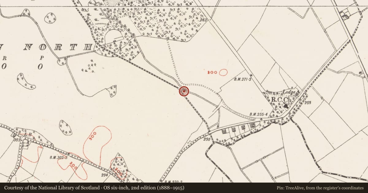 Ordnance Survey six-inch map, 2nd edition (1888–1915) covering the location of Water mill - unclassified, Sonna Demesne, County Westmeath, with a pin at the register's coordinates