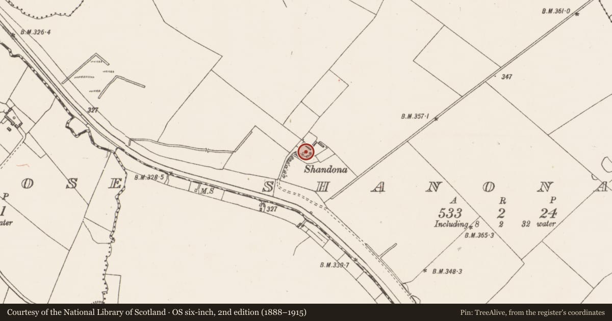 Ordnance Survey six-inch map, 2nd edition (1888–1915) covering the location of Castle - unclassified, Shanonagh, County Westmeath, with a pin at the register's coordinates